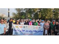 سالمند 23